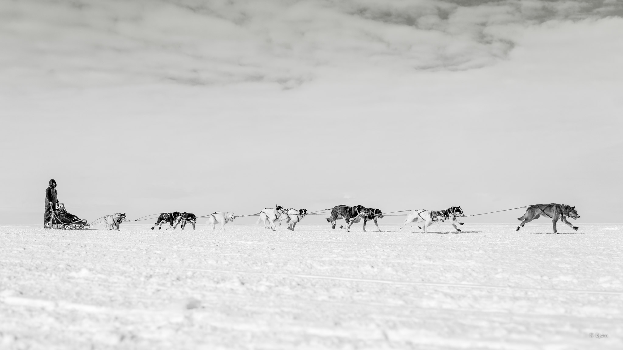 Ambler Road Project Comments • Scoping of Proposed Alaska Industrial